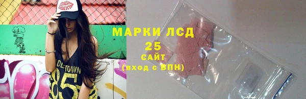 прущие грибы Армянск