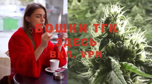 прущие грибы Армянск