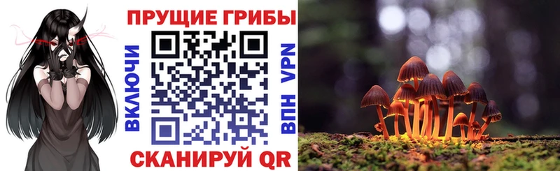 Псилоцибиновые грибы GOLDEN TEACHER  как найти закладки  kraken ССЫЛКА  Менделеевск 